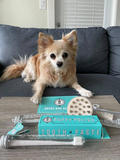 Puppy Polisher Shampoo Brush