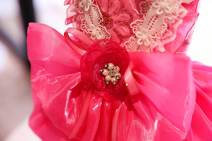 Elegant Hot Pink Lace Dog Party Dress