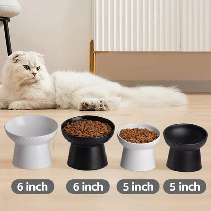 Ceramic Raised Tilted Cat Bowls Set of 2, Elevated Porcelain Feeder