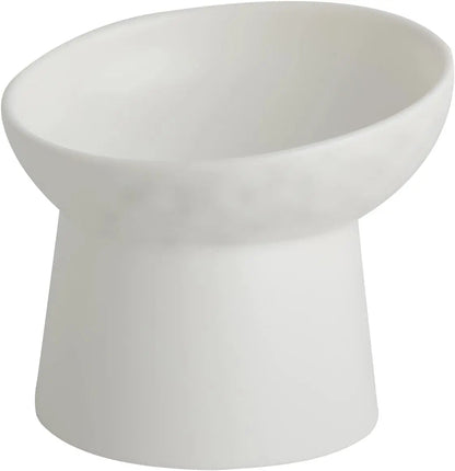 Ceramic Raised Tilted Cat Bowls Set of 2, Elevated Porcelain Feeder