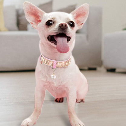 Adjustable cats and dogs Collars
