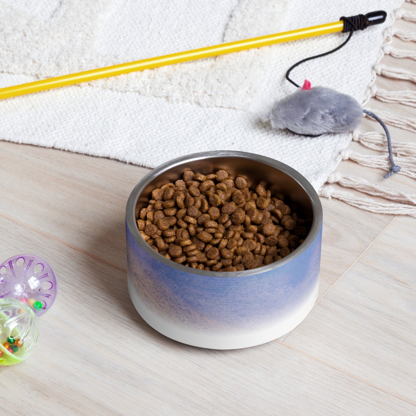 Sebastian & Clementine Venice Pet Bowl